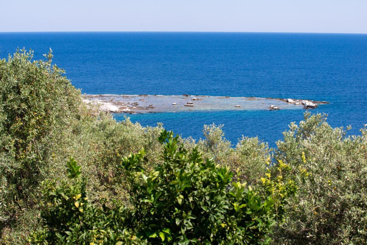 Archodissa Villa Thimonia エクステリア 写真